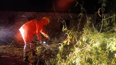 Severe Cyclone Remal leaves trail of destruction in coastal Bengal
