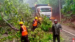 Cyclone Remal claims six lives in West Bengal, leaves trail of destruction