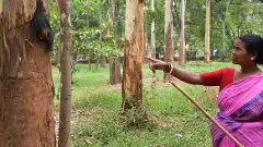 Heatstroke kills 4 in Jharkhand, over 1,300 admitted to hospital