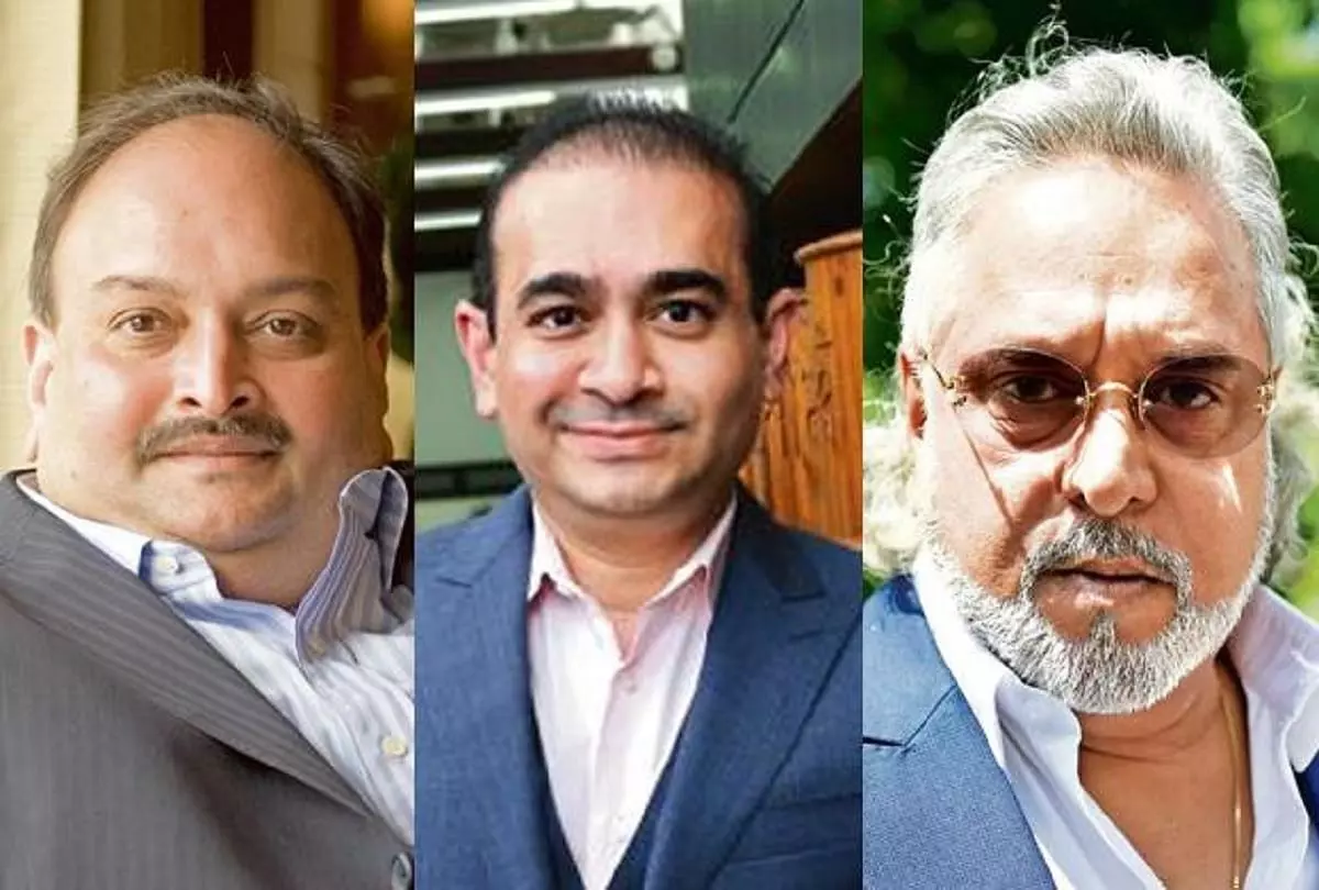 Nirav Modi, Vijay Mallya fled India as probe agencies did not arrest them on time: Court