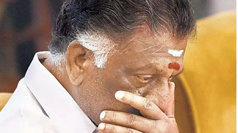 O Paneerselvam, Supreme Court verdict
