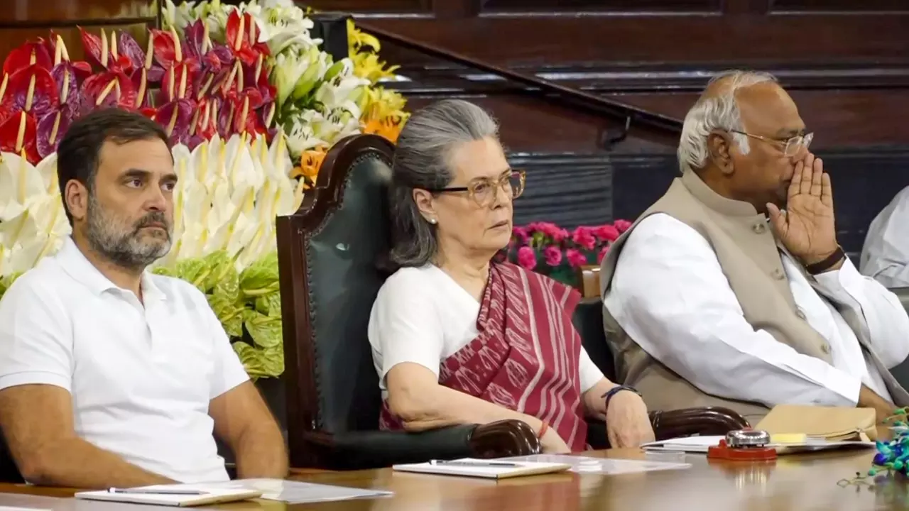 Rahul’s Congress-decentralisation plan promising, but fraught with hurdles Rahul’s Congress-decentralisation plan promising, but fraught with hurdles