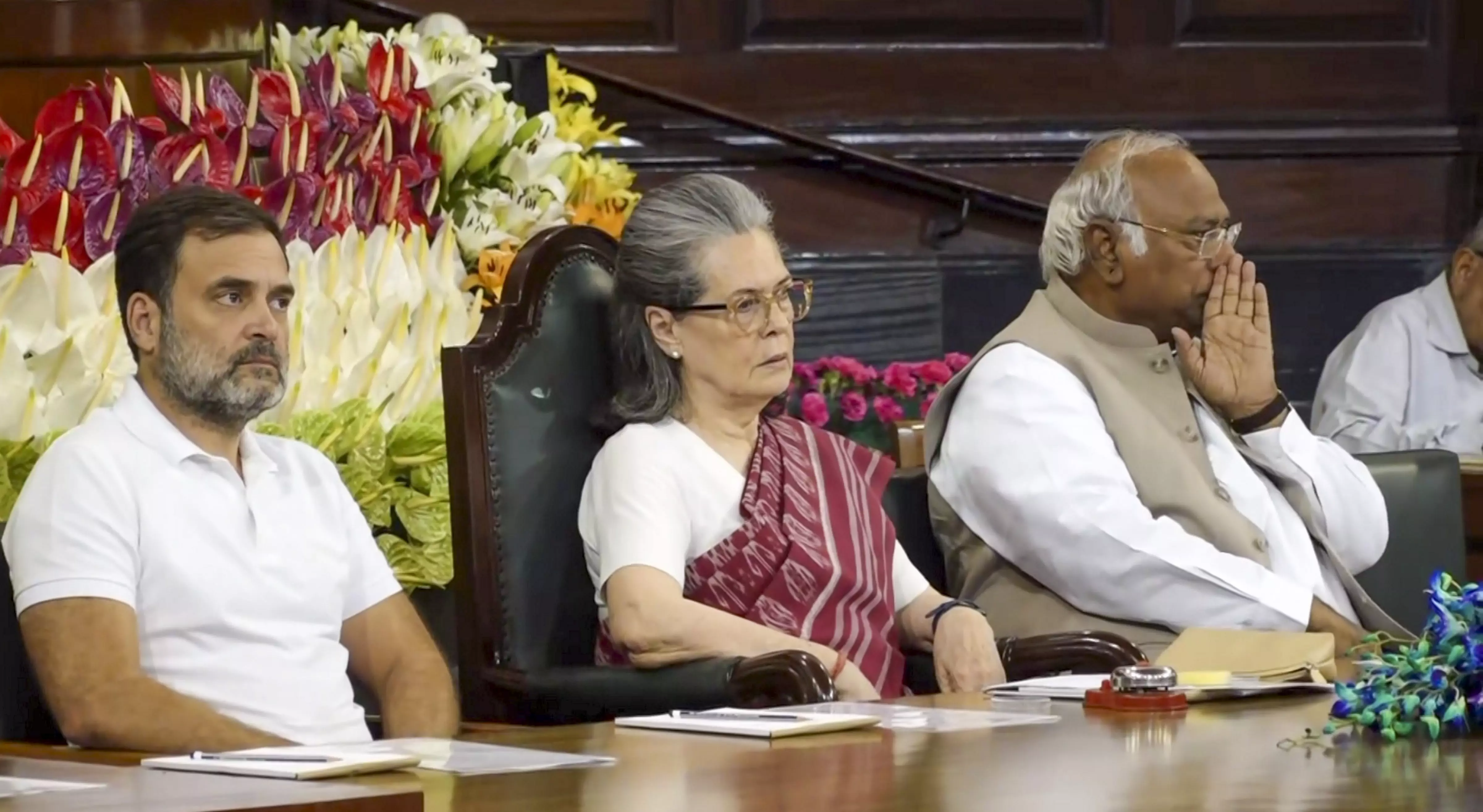 Sonia Gandhi re-elected as Congress Parliamentary Party chairperson