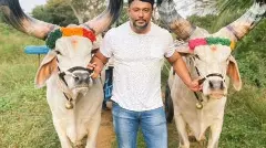 Darshans arrest: Why Kannada film industry is not so surprised