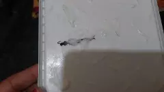 Chilling discoveries: After human finger, centipede found in ice cream