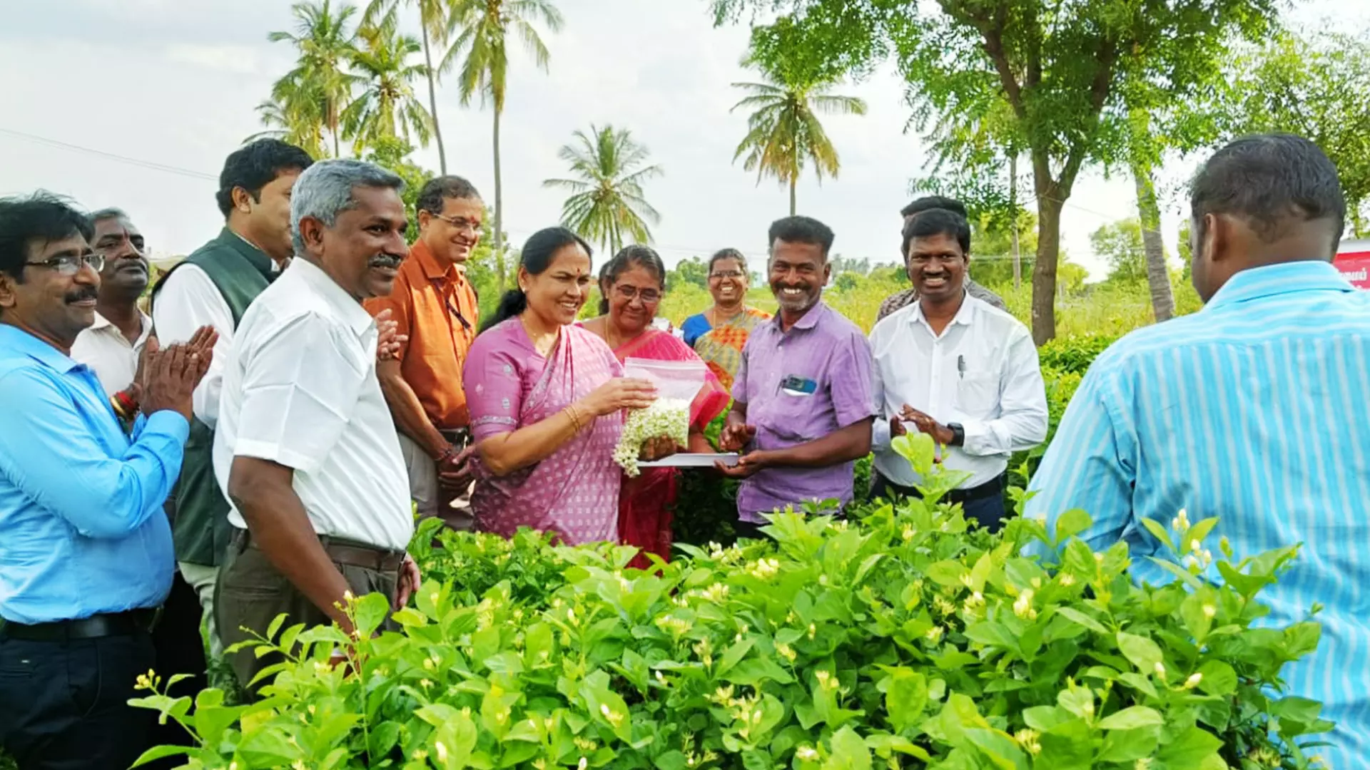 Farmers being trained in off-season jasmine cultivation by officials of the Tamil Nadu Horticulture Department.