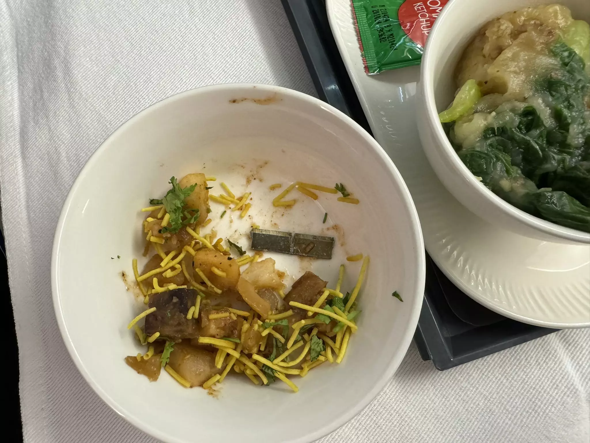 Air India food can cut like a knife, says passenger who found metal blade in meal