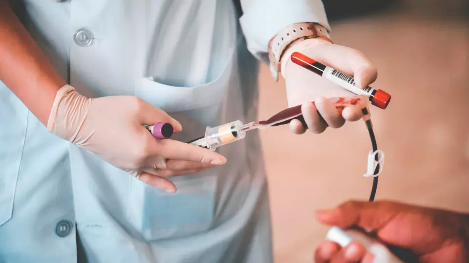 Sickle cell anaemia blood