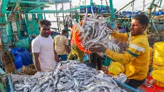 India wants strong WTO subsidy regulations for high seas fishing