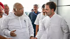 Congress stares at seat-sharing hiccups after drubbing in Haryana, Jammu