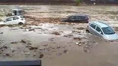 Uttarakhand: Heavy rain lashes Haridwar, cars swept away in Sukhi river