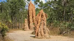 Oldest active termite mounds in South Africa have been active for 34,000 years