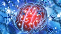 Naegleria fowleri brain-eating amoeba