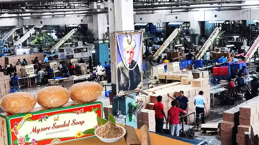 Karnataka | Why land of sandalwood is set to import sandalwood oil from Australia