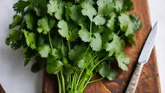 Coriander leaves. Representative AI image