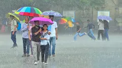 Himachal Pradesh rains, Shimla rains