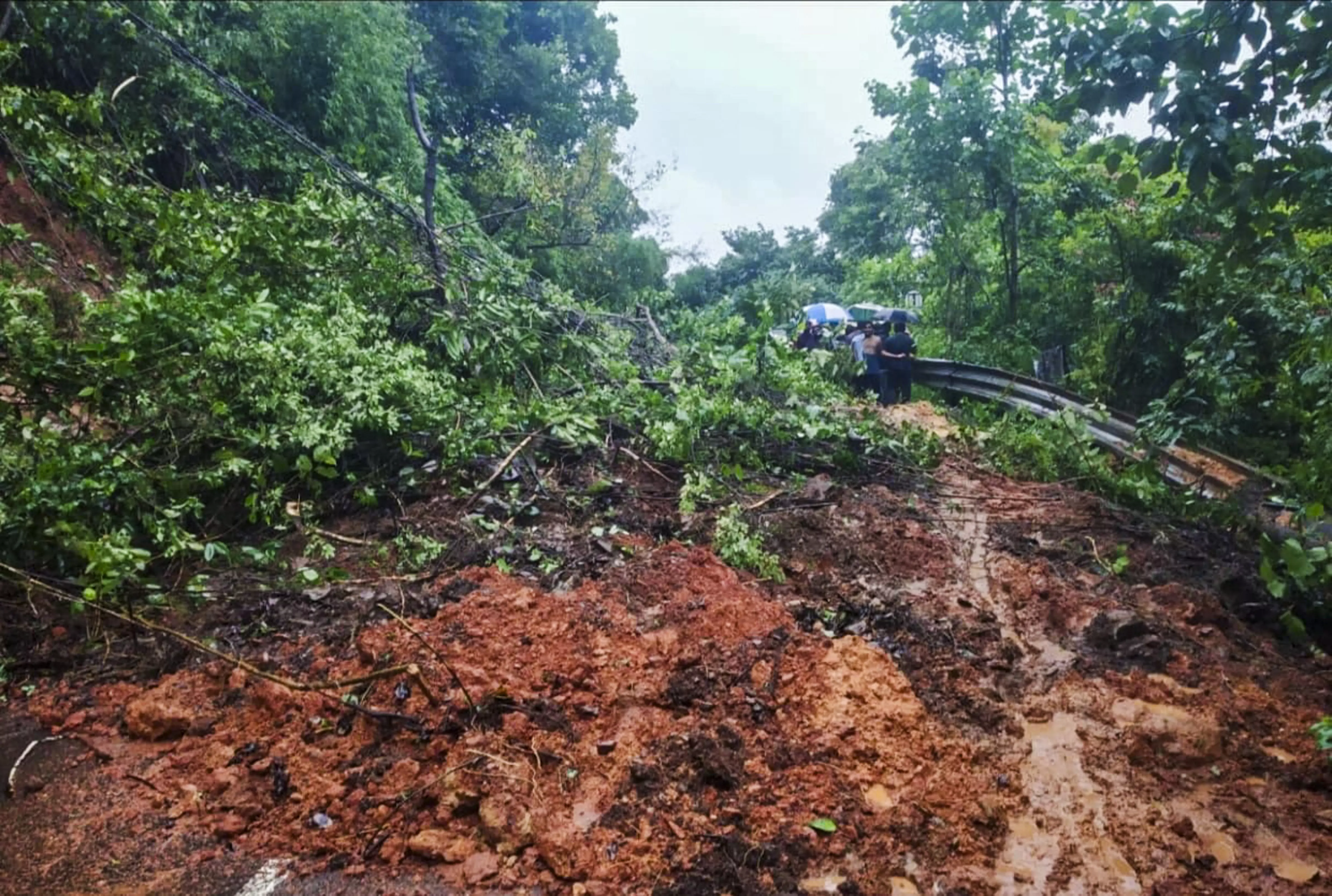 Karnataka: Vehicles stranded on NH-75 after landslide at Shiradi ghat