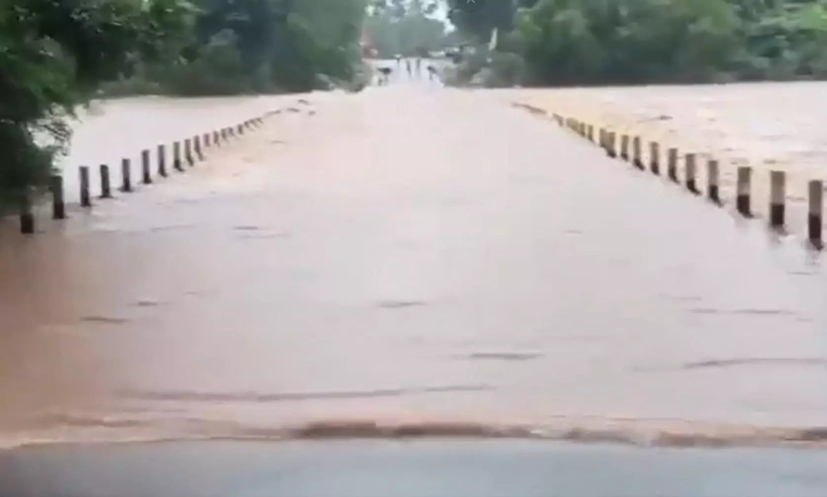 Odisha: Heavy rain hits over 7,300 in Malkangiri; roads, bridges flooded