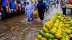 Heavy downpour in Mumbai disrupts train services; NDRF on standby