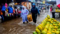Heavy rainfall continues in Rajasthan, more showers expected next week