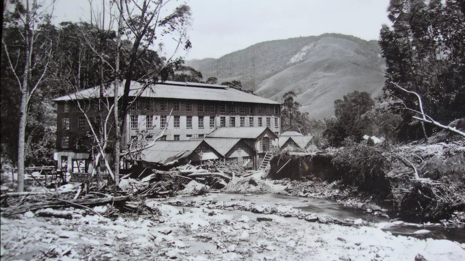 Among the casualties of the great deluge of 99 was India’s first monorail project, the Kundla Valley Railway of Munnar. Photo: Special arrangement