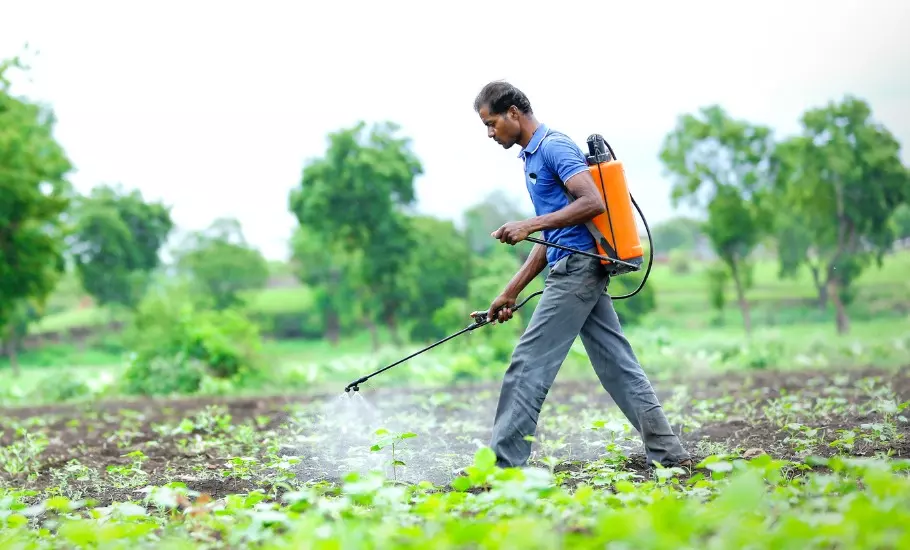 pesticide