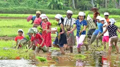Lessons in tradition: A couple’s quest to keep Malayalam alive turns 10