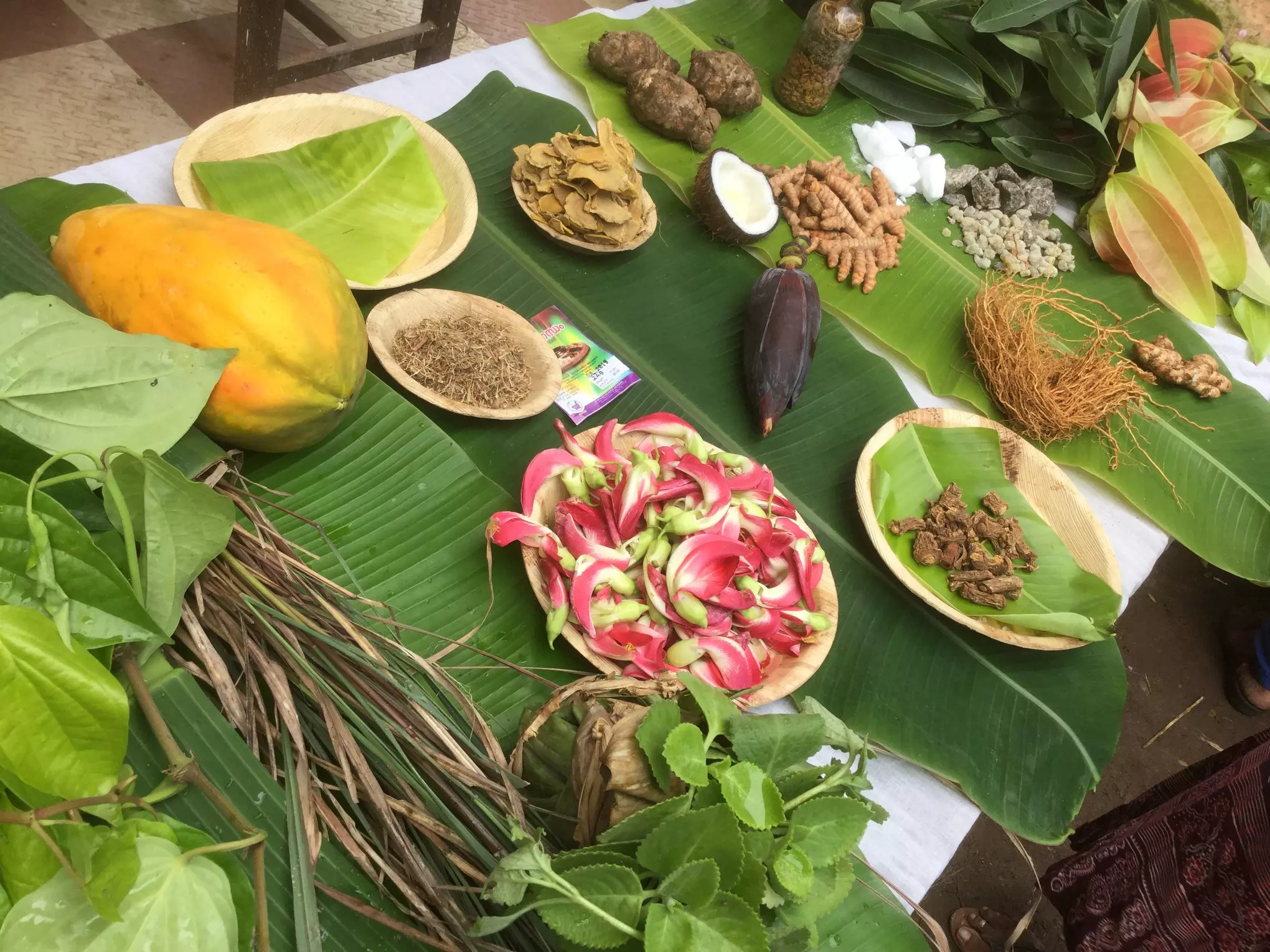 Children are introduced to local fruits and tubers at Malayalam Pallikkoodam.