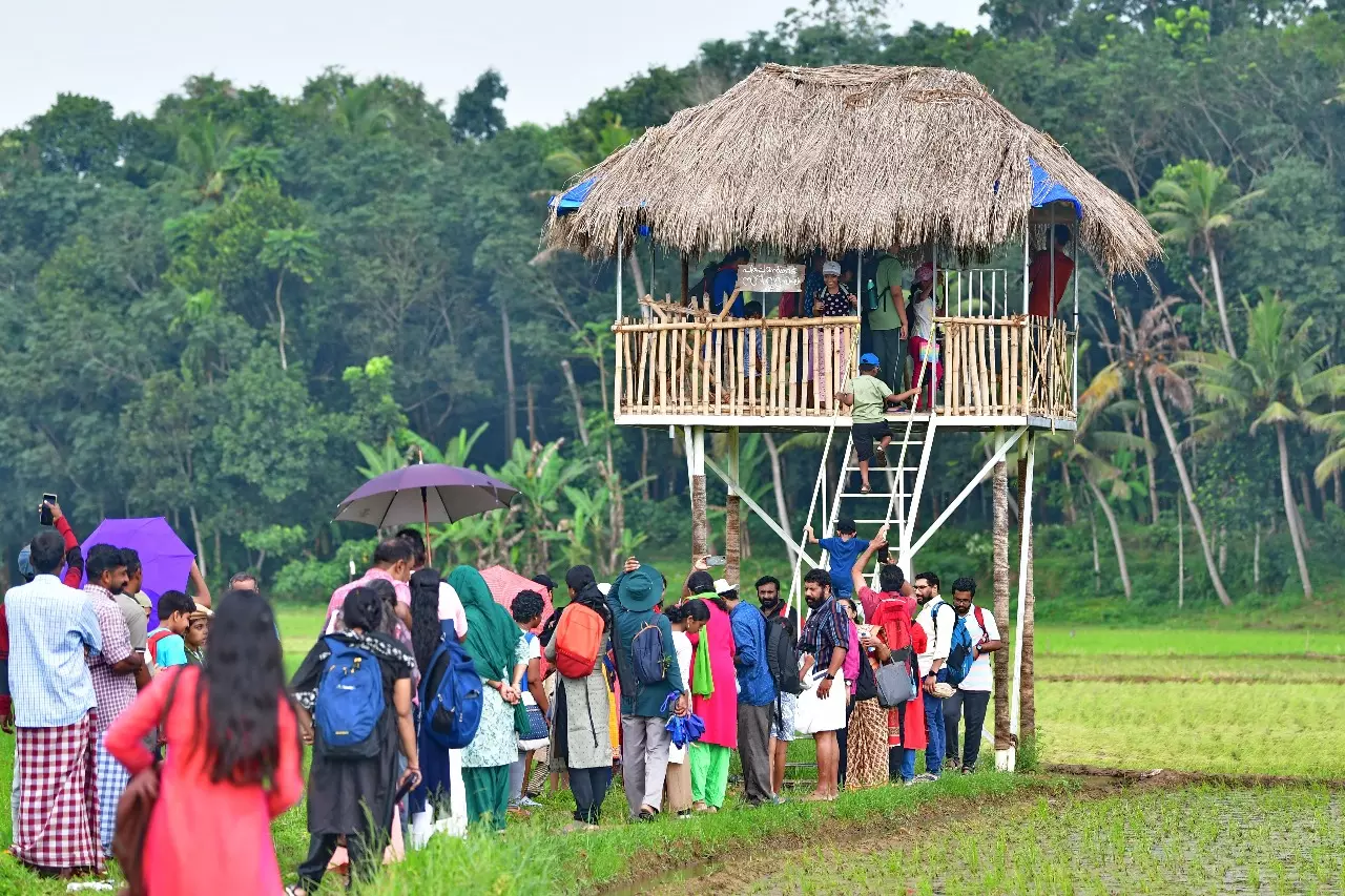 Children at the paddy field.