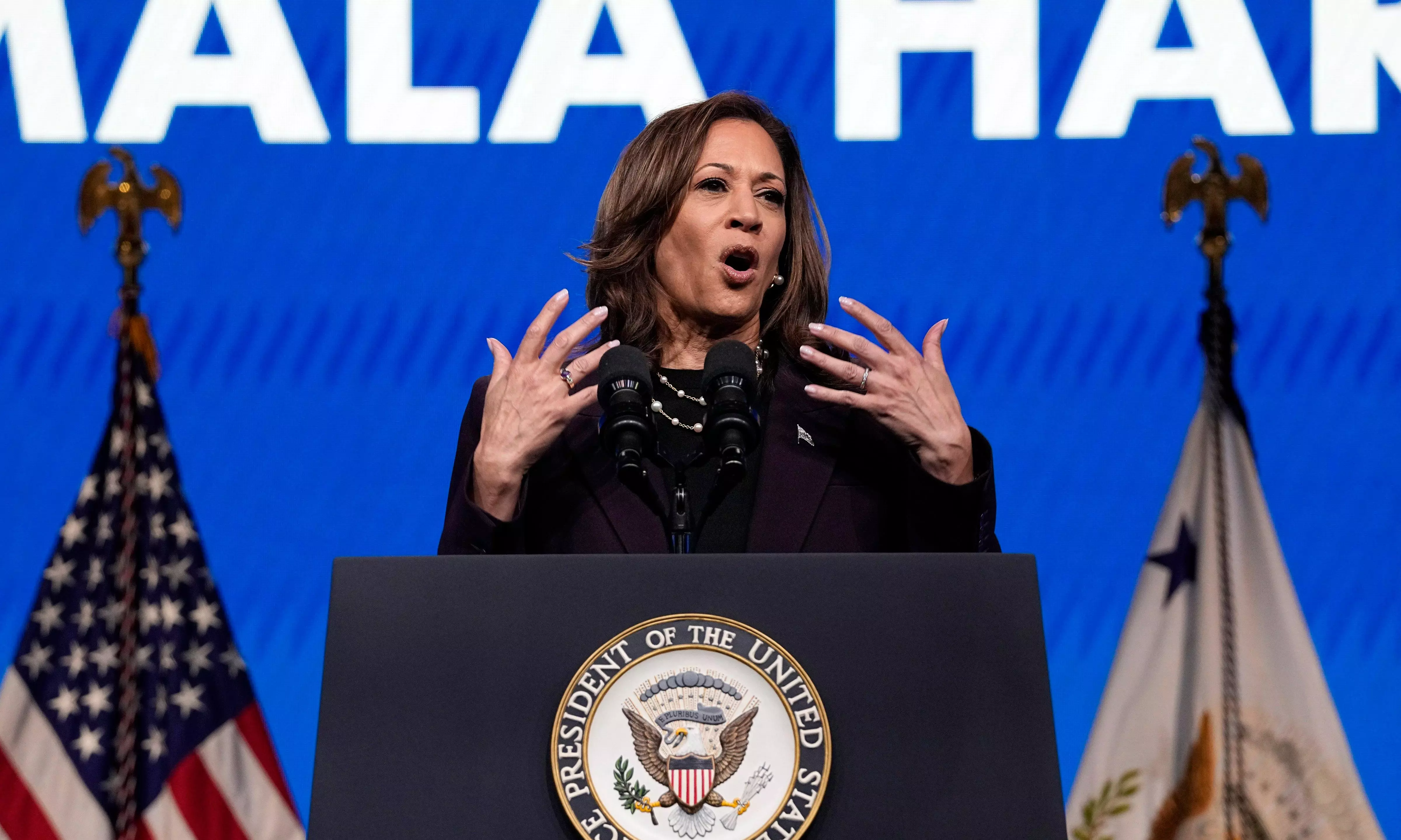 Consequences of putting Donald Trump back in White House extremely serious: Harris