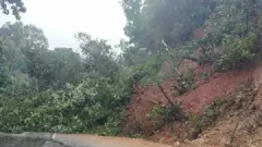 Karnataka: Landslide near Puttur bypass in halts traffic on NH 275
