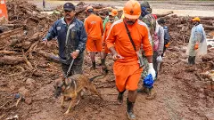 Wayanad landslides, Kerala landslides