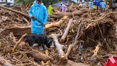 Wayanad landslides LIVE | Kerala CM: We will build a new, safer township for survivors