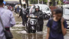 Jharkhand: Incessant rains wash away road diversions, uproot trees and damage houses