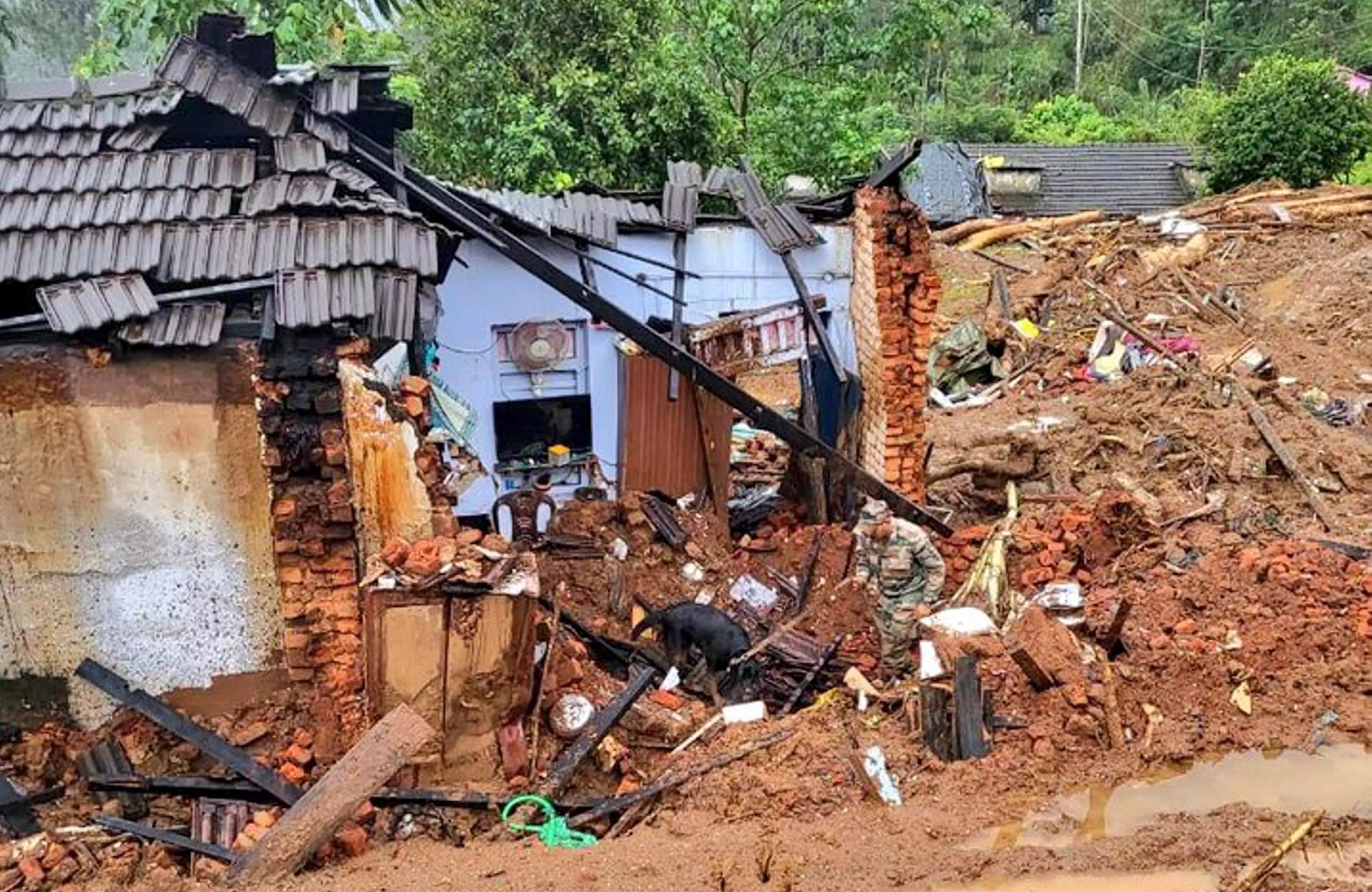 Wayanad tragedy: Kerala govt faces urgent need to expand counselling services