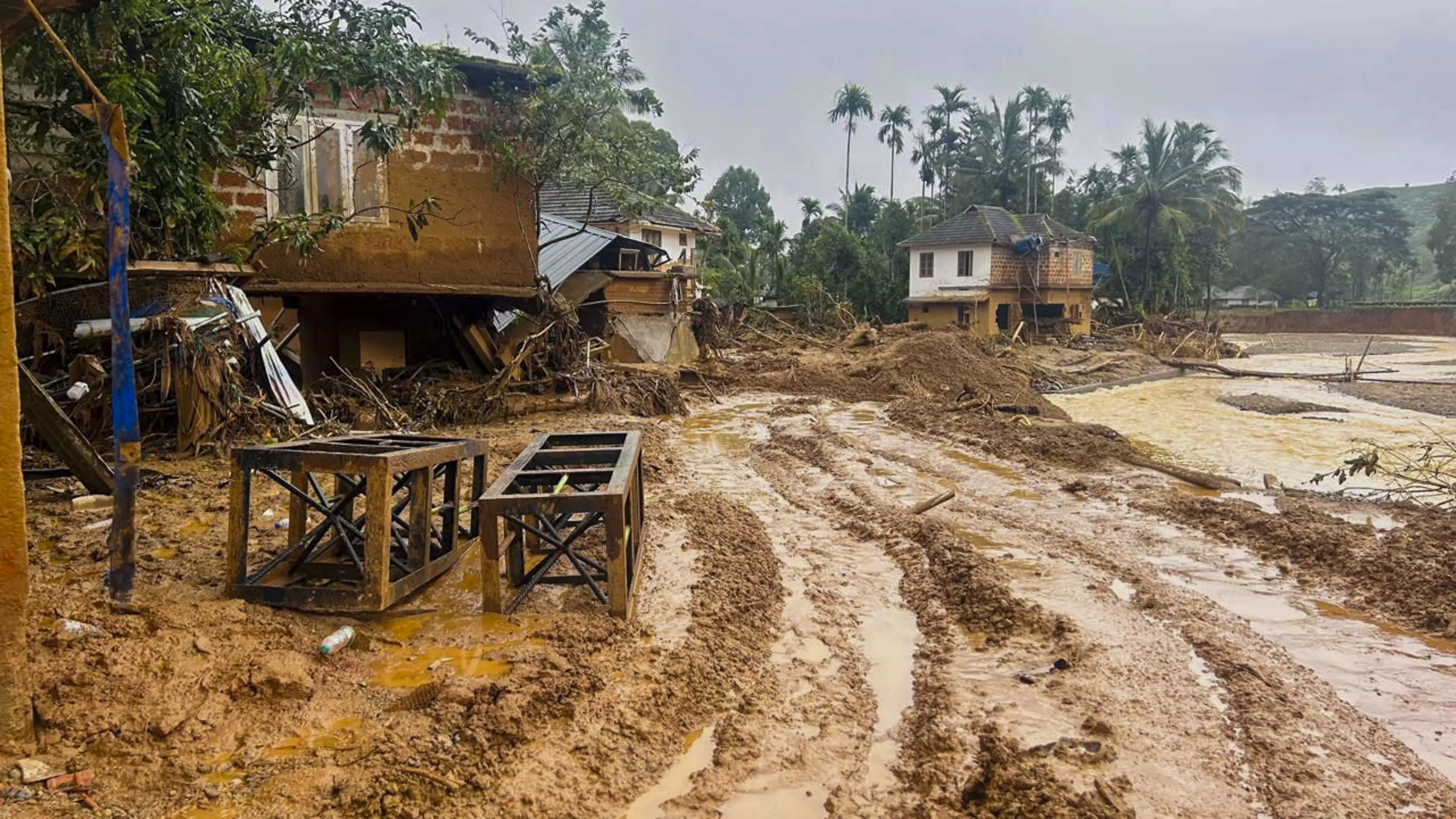 Wayanad landslides | Not rain, main reason quarries, human activities: Gadgil