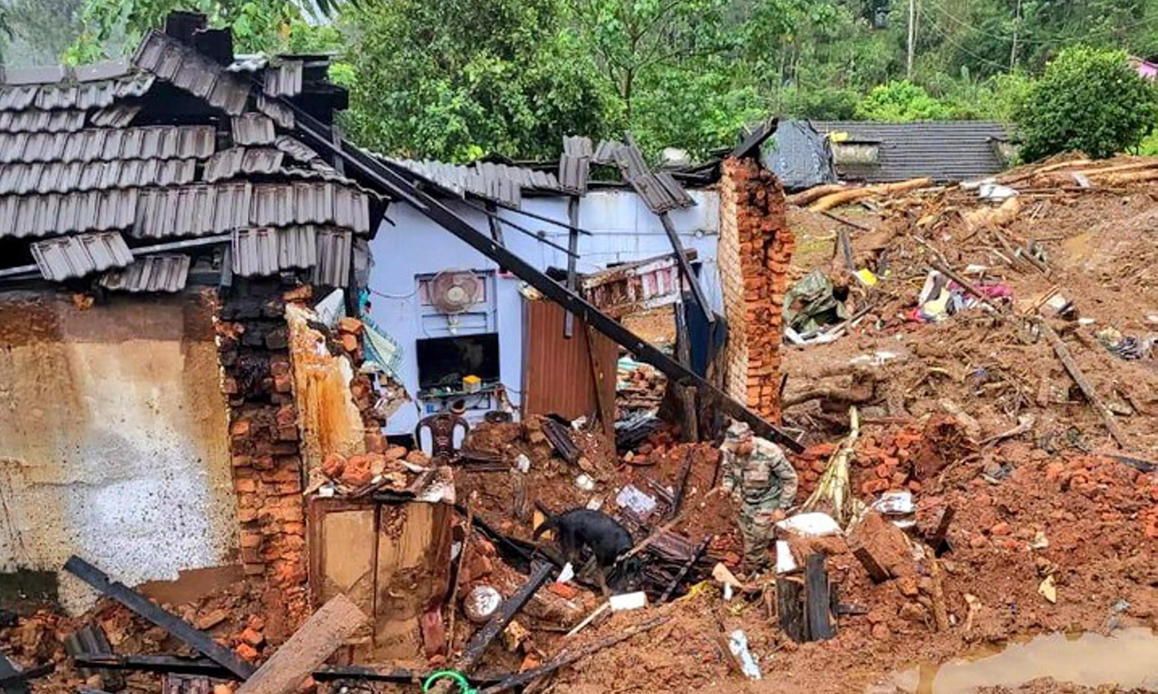 Some Wayanad landslides-hit areas may be out of bounds forever