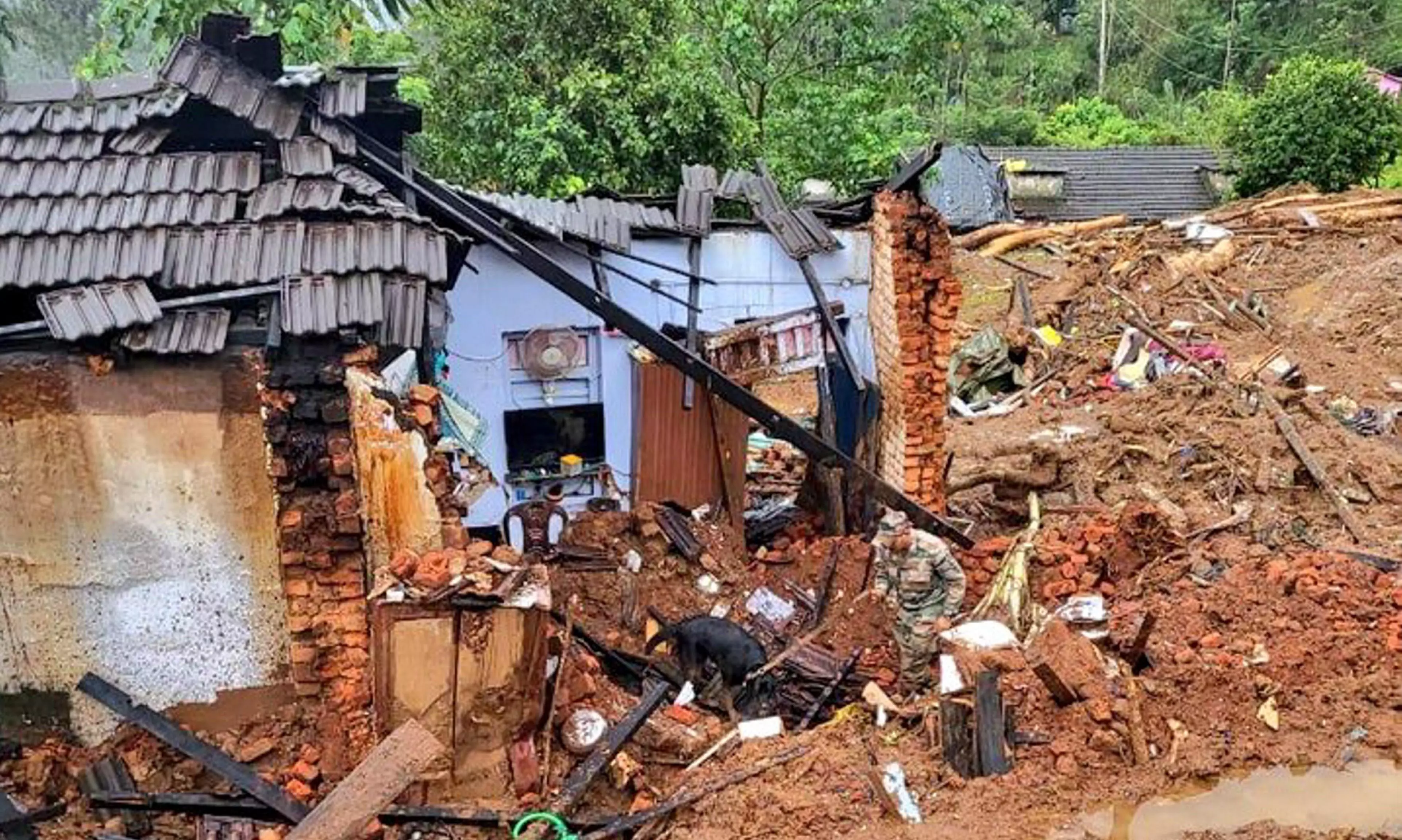 Wayanad disaster: Disburse compensation via banks, says Kerala HC