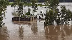 Punjab: 7 family members from HP die after SUV swept away in swollen rivulet