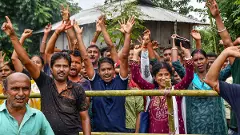 Tripura: BJP sweeps Panchayat polls, wins 97 pc of seats