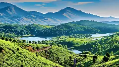 Interactive: Why the Western Ghats are crying for protection