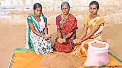 Why tribals in Tamil Nadu’s Kolli Hills are ‘banking’ on millets