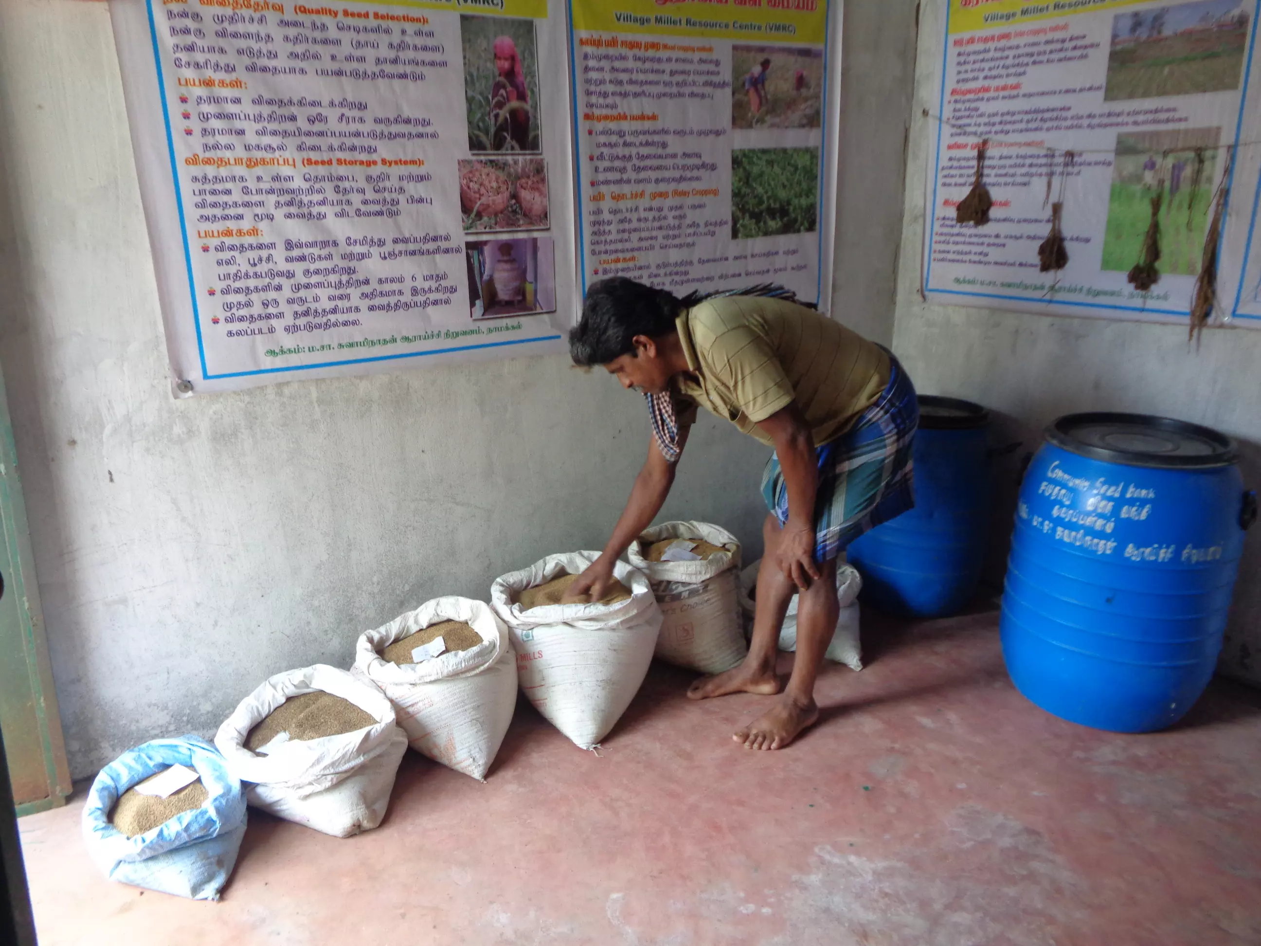 A man working at the seed bank.