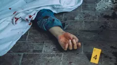 suicide, Auroville, triple murders, stabbed, murder