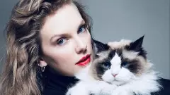 Taylor Swift endorses Harris on Instagram, signs off as ‘childless cat lady’; Musk replies