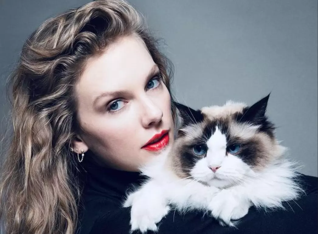 Taylor Swift endorses Harris on Instagram, signs off as ‘childless cat lady’; Musk replies