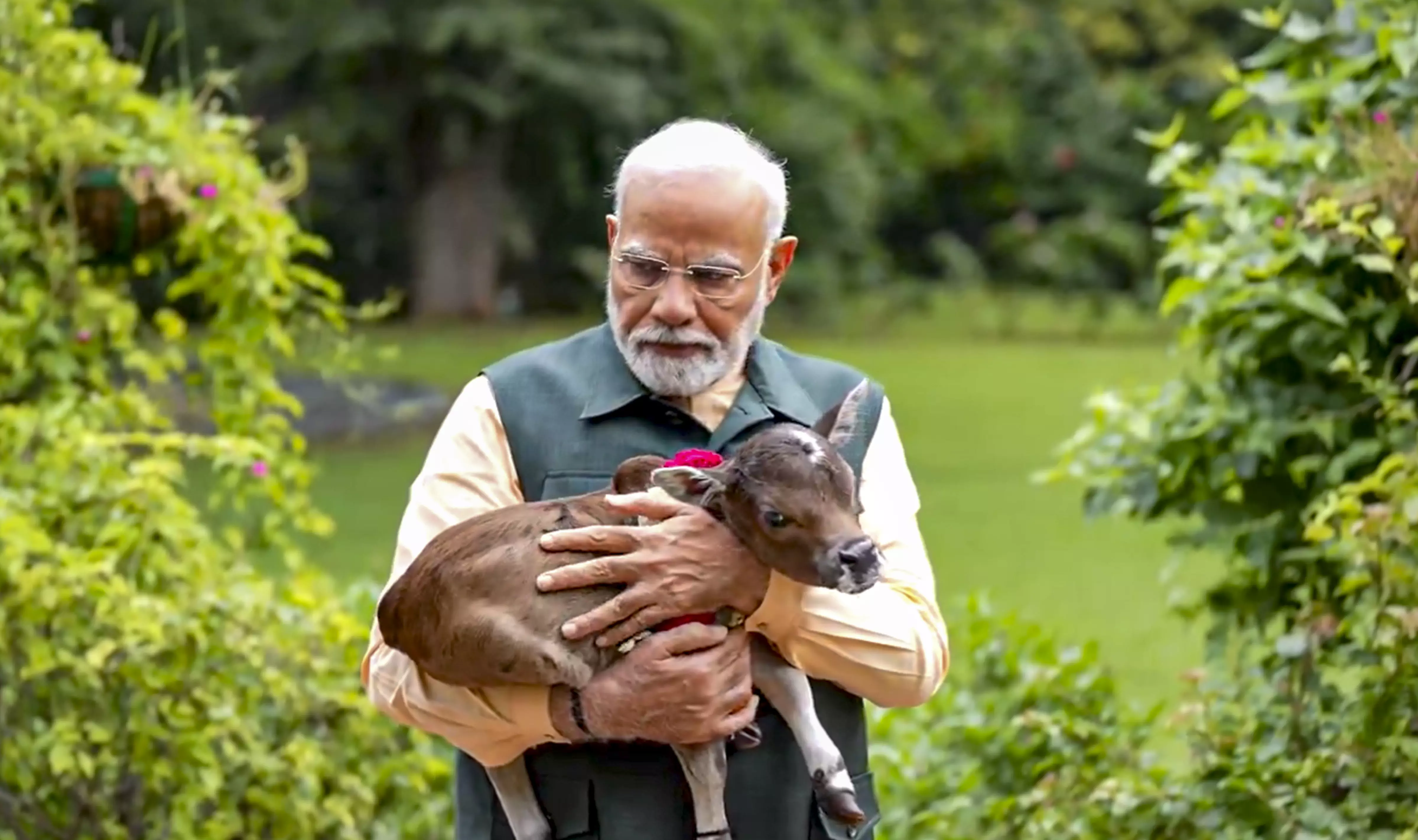 PM Modi welcomes new member Deepjyoti to family, shares video