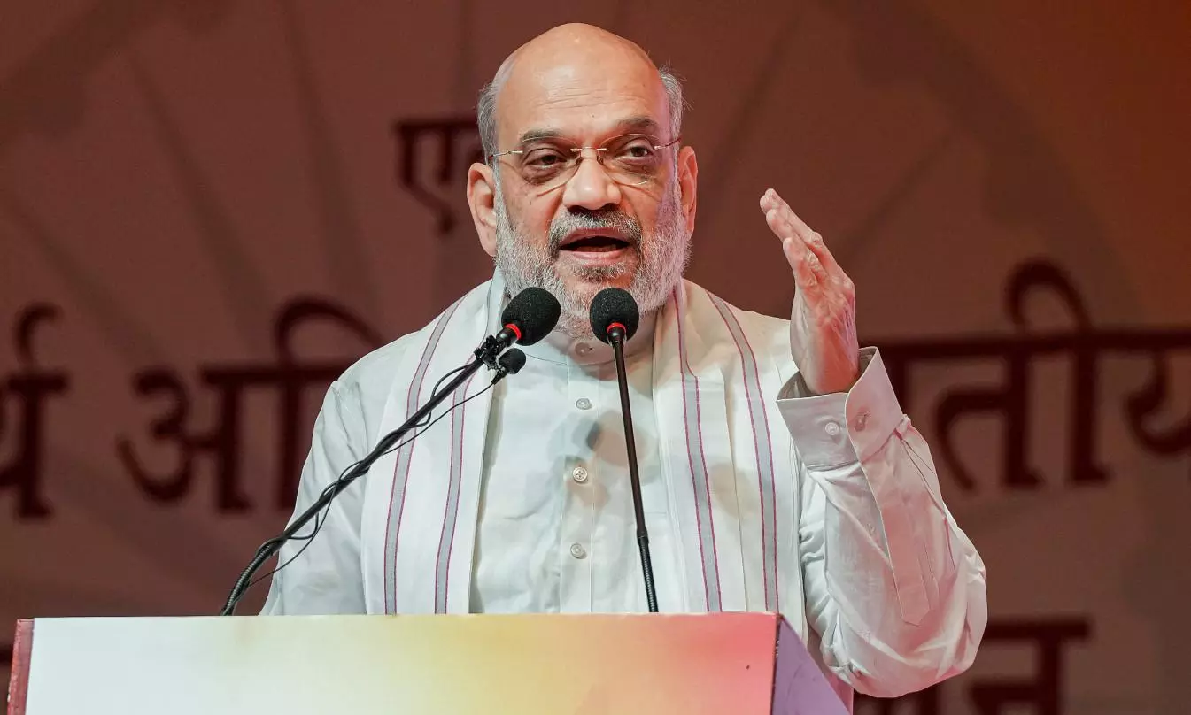 Amit Shah, Hindi Diwas