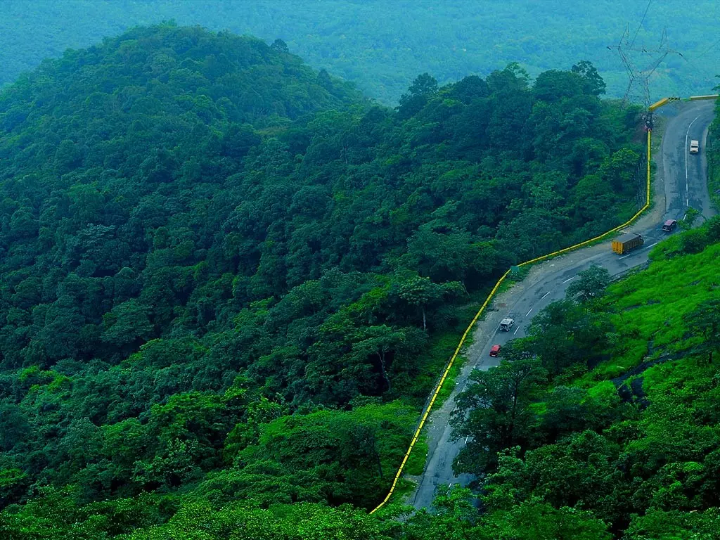 South Indian influencers rally behind Wayanad tourism after devastating landslides