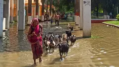 Bihar: Fresh spell of heavy rain likely, several districts at risk of flash floods: IMD